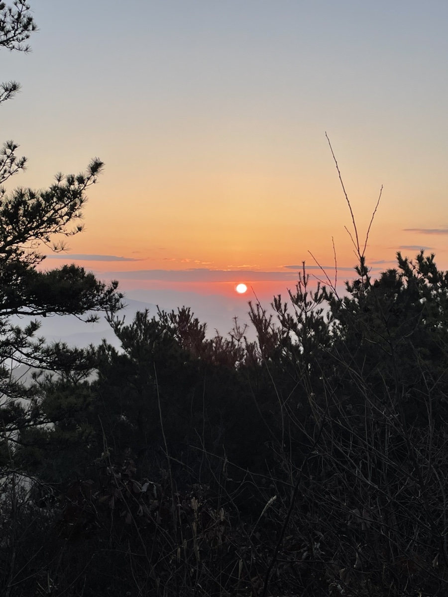 다.복순대국밥 이미지