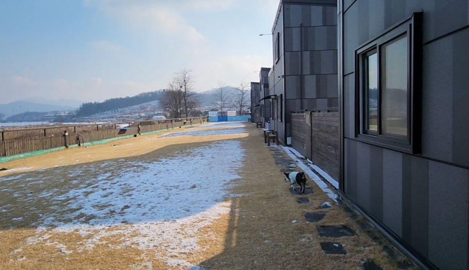 강아지풀애견펜션 이미지