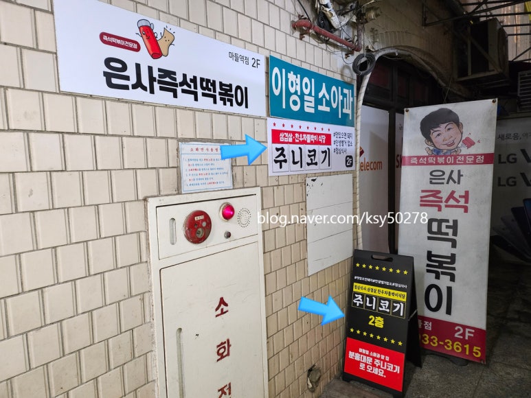 주니코기 이미지