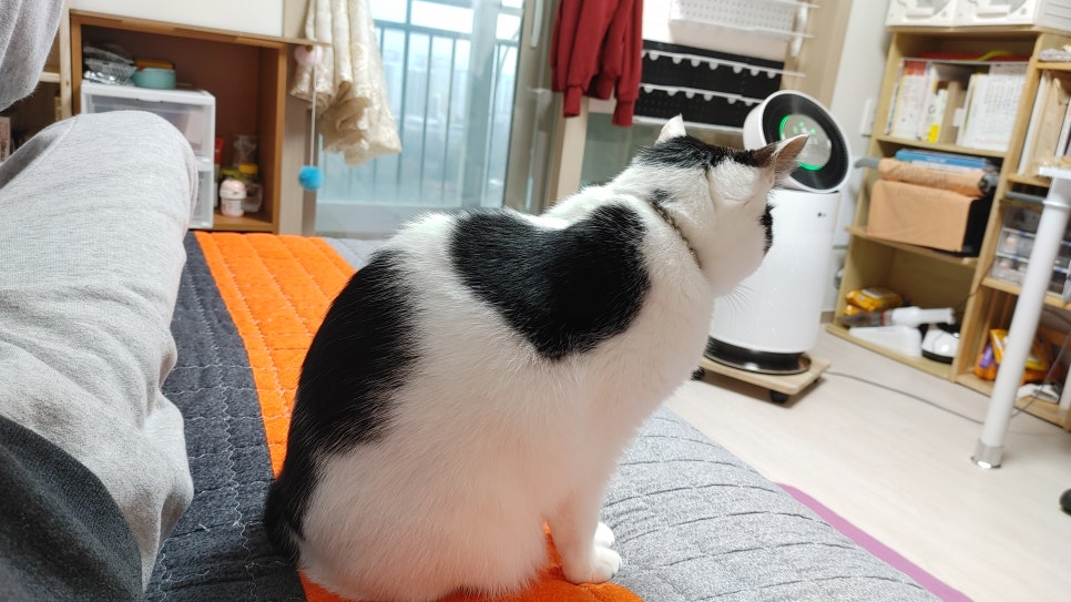 꼭찌 이미지
