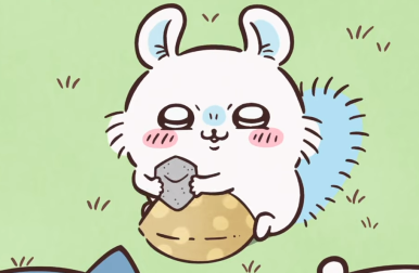 모몽가 이미지