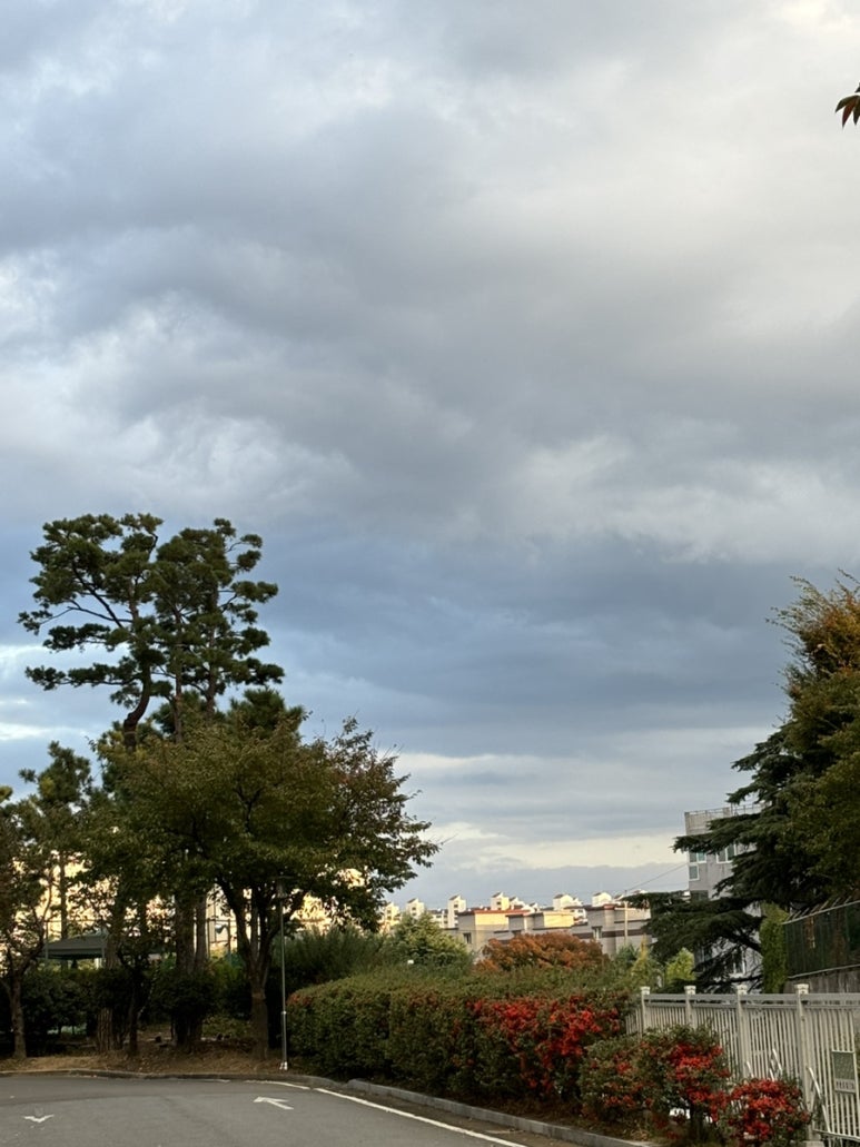 바디디자인 이미지