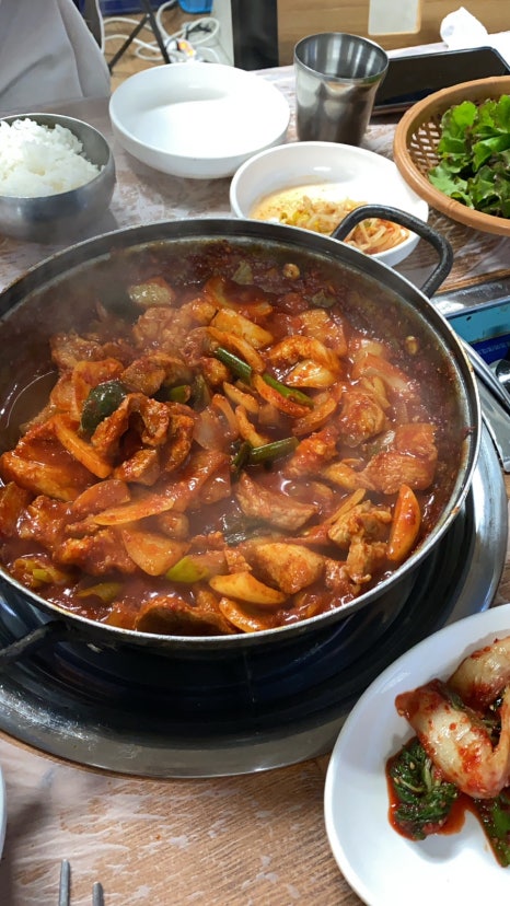 시끌시끌돼지들 이미지