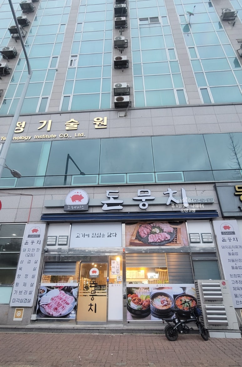 그레이스돈뭉치 이미지