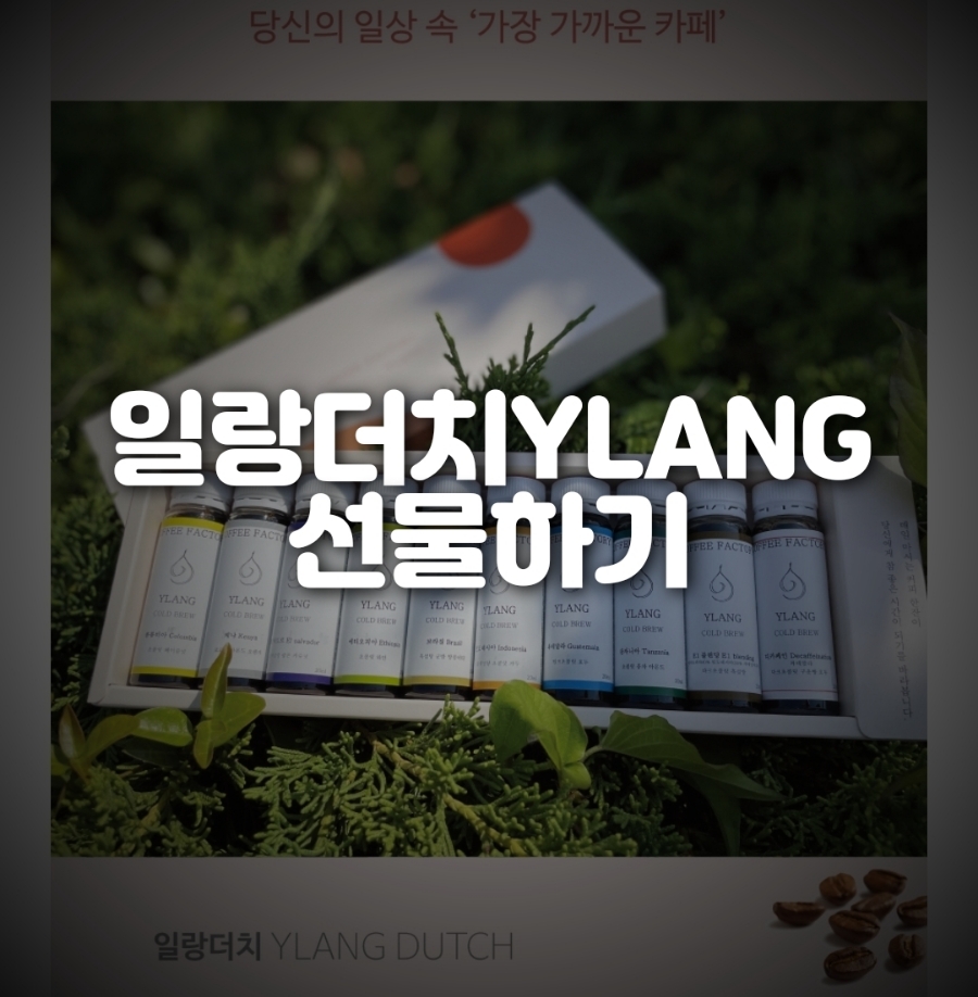 일랑더치 이미지