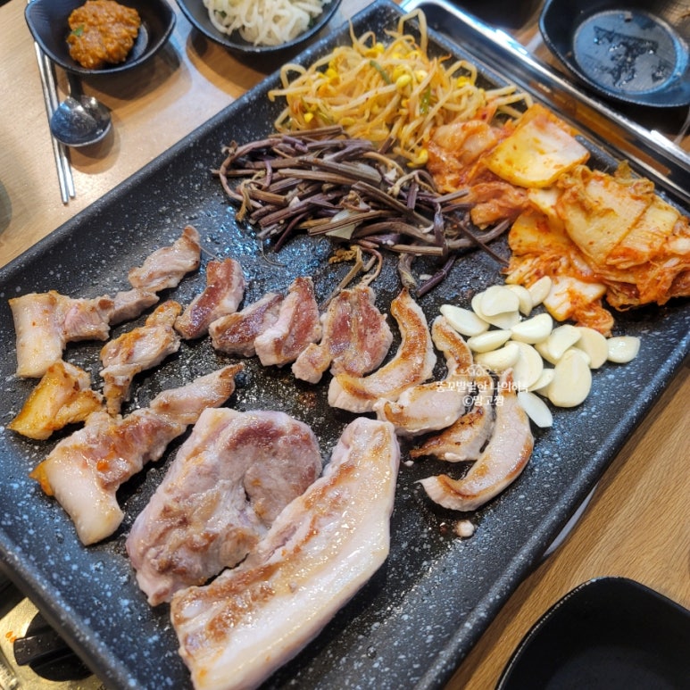 그레이스돈뭉치 이미지