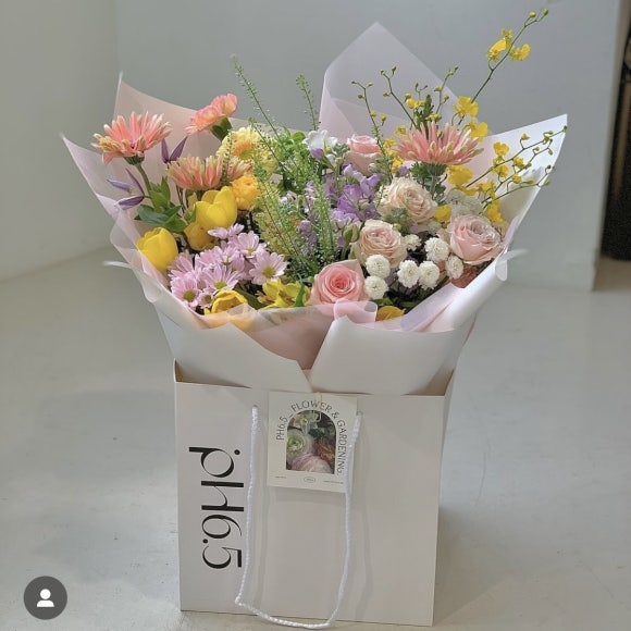 피에이치6.5 이미지