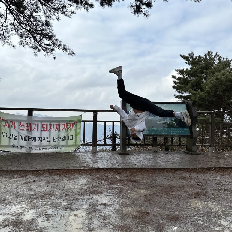 플라잉몬스터즈 이미지