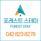 스테이포레스트 이미지