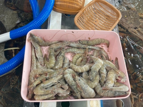 영덕회수산센타 이미지