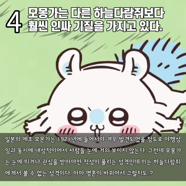 모몽가 이미지