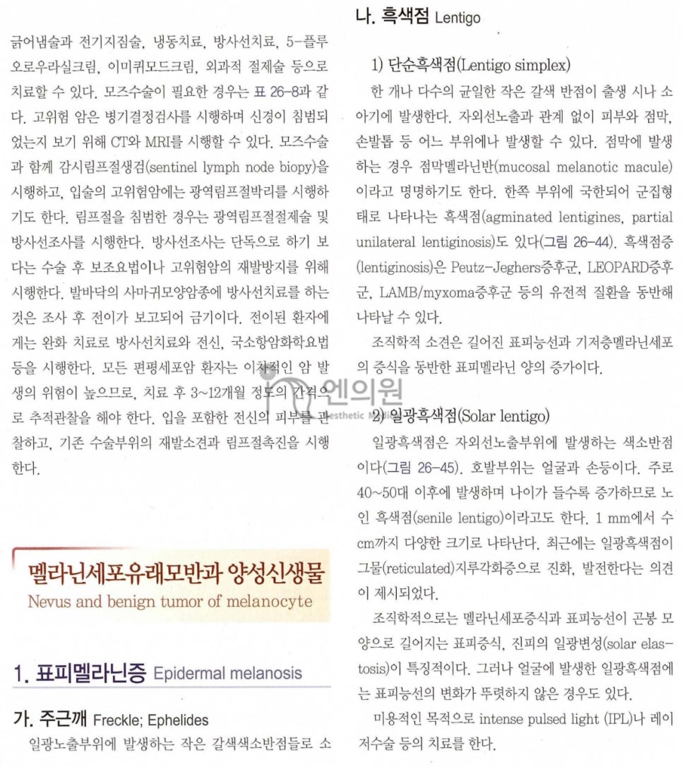엔의원 이미지