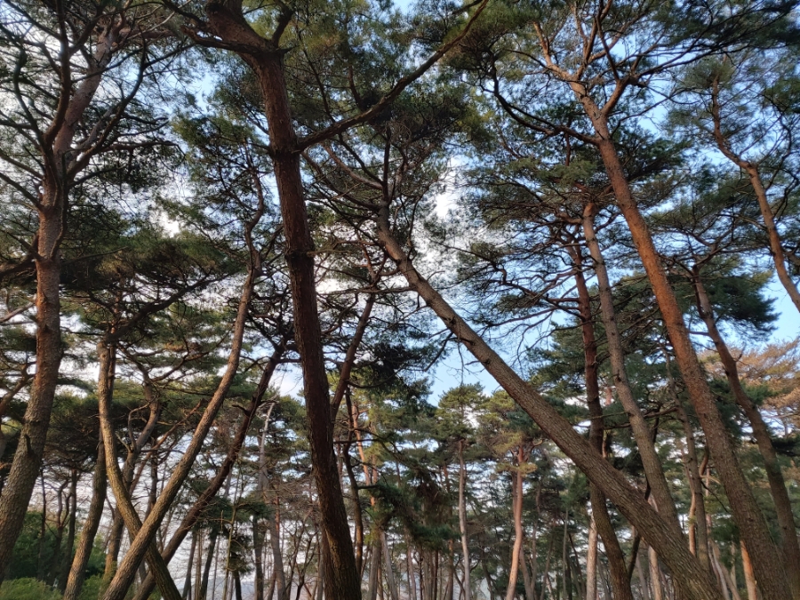 아카데미다실 이미지