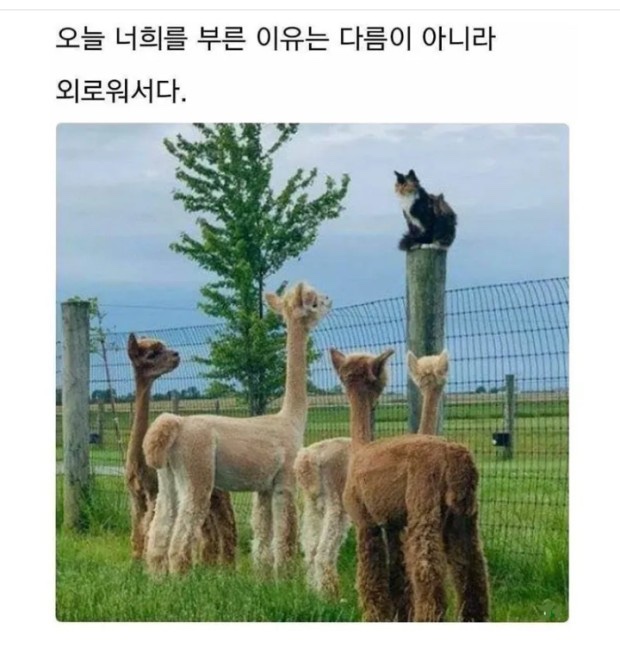 돈생각 이미지