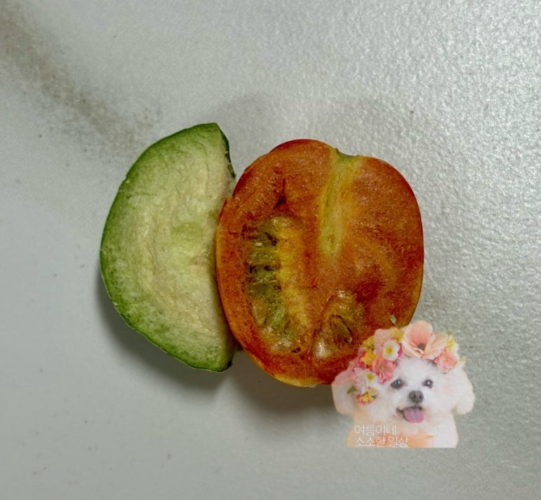 오토카 이미지