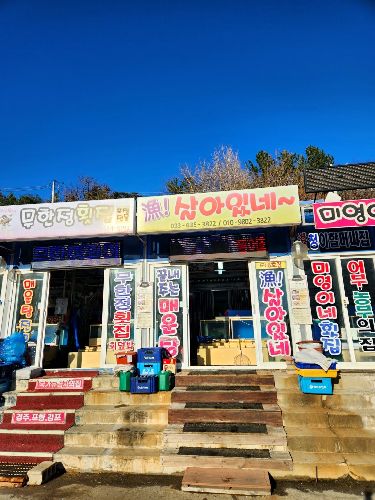 어살아있네 이미지
