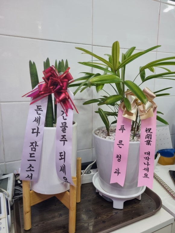 둘하나족발 이미지