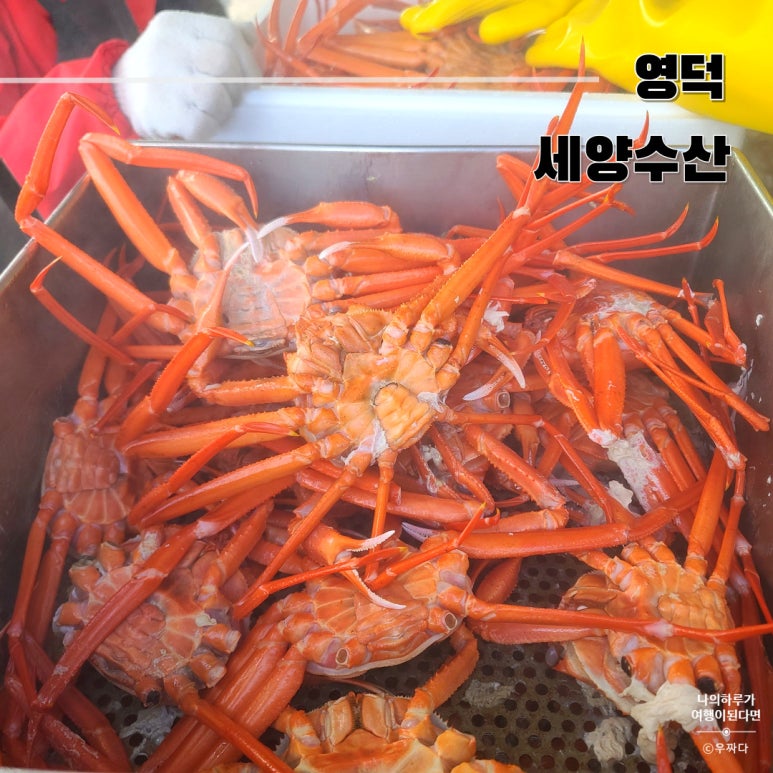 세양수산 이미지