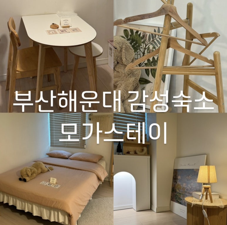 모가스테이 이미지