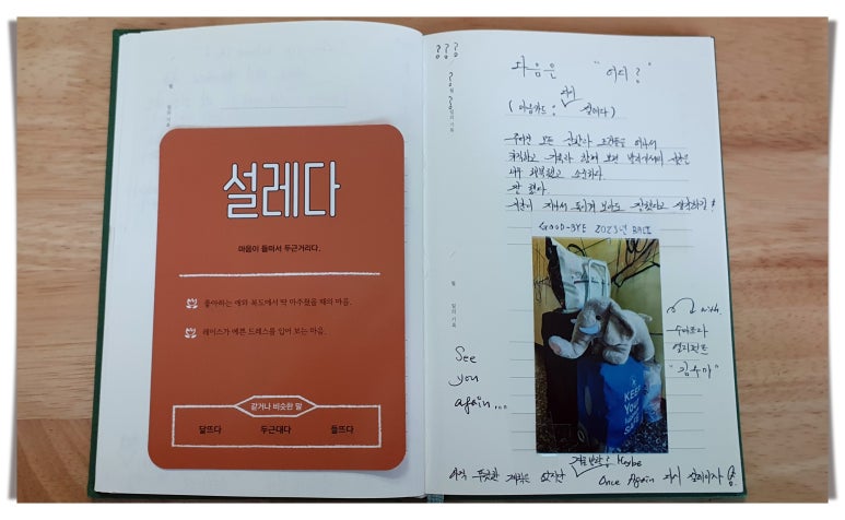 다시설레다 이미지