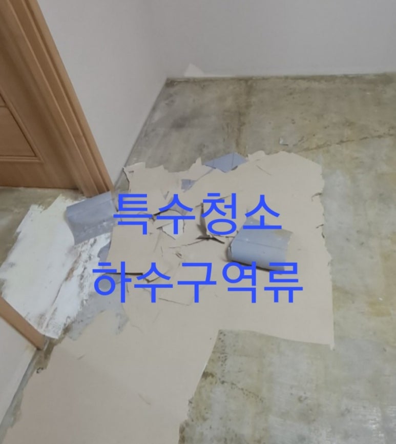 닥터박클린 이미지