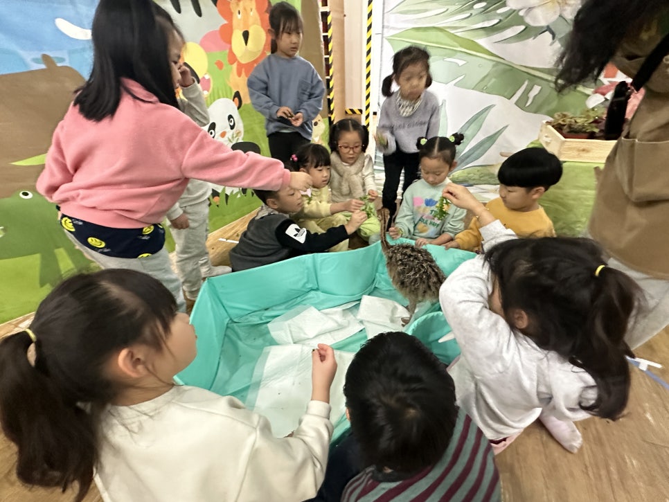 해와달유치원어린이집 이미지