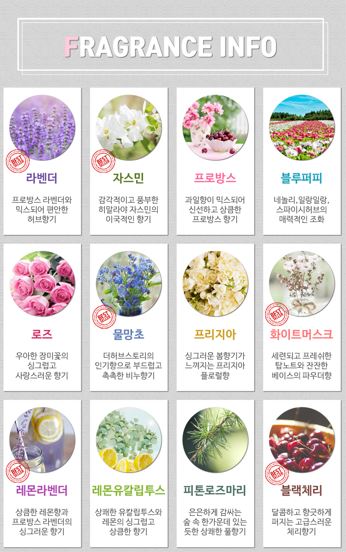 베라바디테라피 이미지