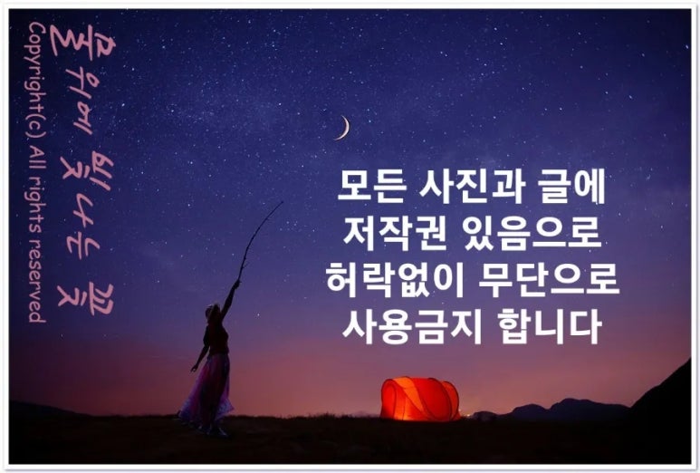 힐링의섬집 이미지