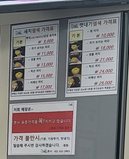 구피염색방 이미지