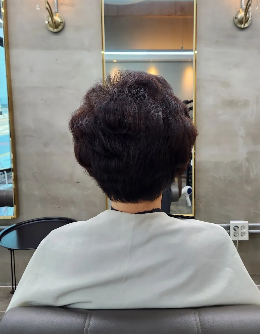 살롱드라벨르 이미지