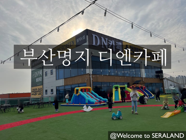 디엔예스 이미지