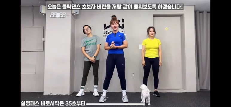 삐약스핏 이미지