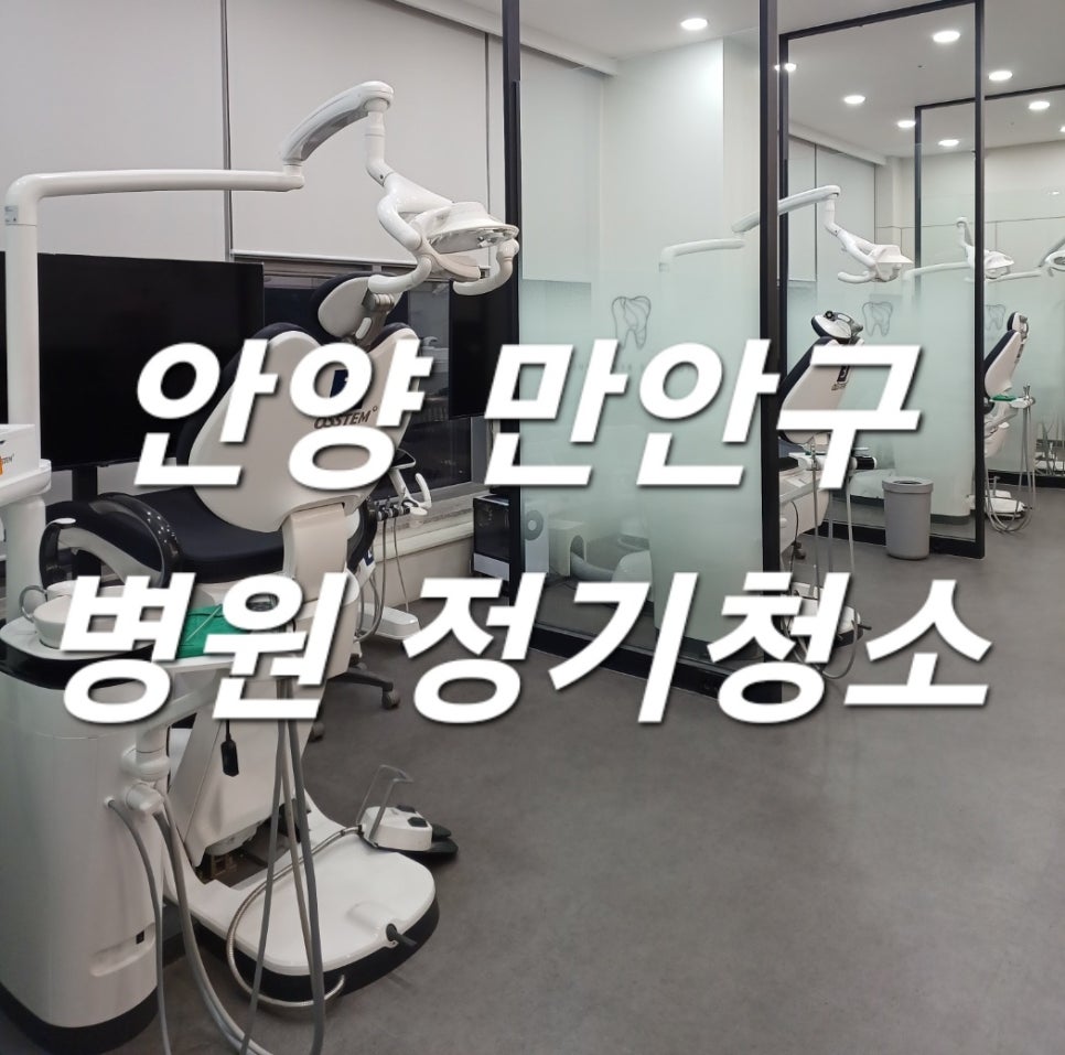 돌핀크린 이미지