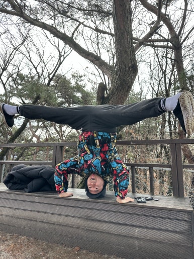 플라잉몬스터즈 이미지