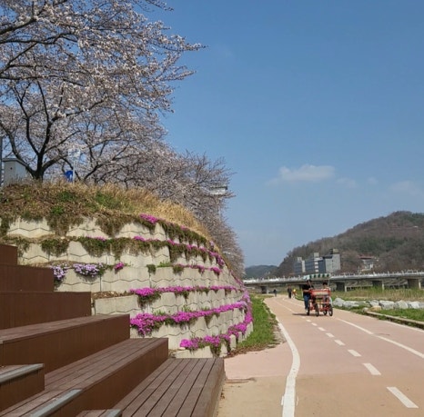 정옥빵집 이미지