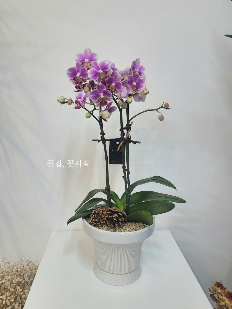 아모레퍼시픽 이대점 이미지