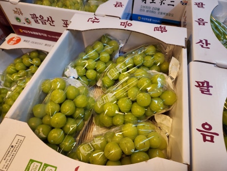 동서청과 이미지