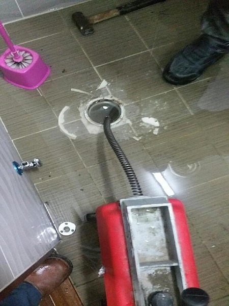동림ENG 이미지