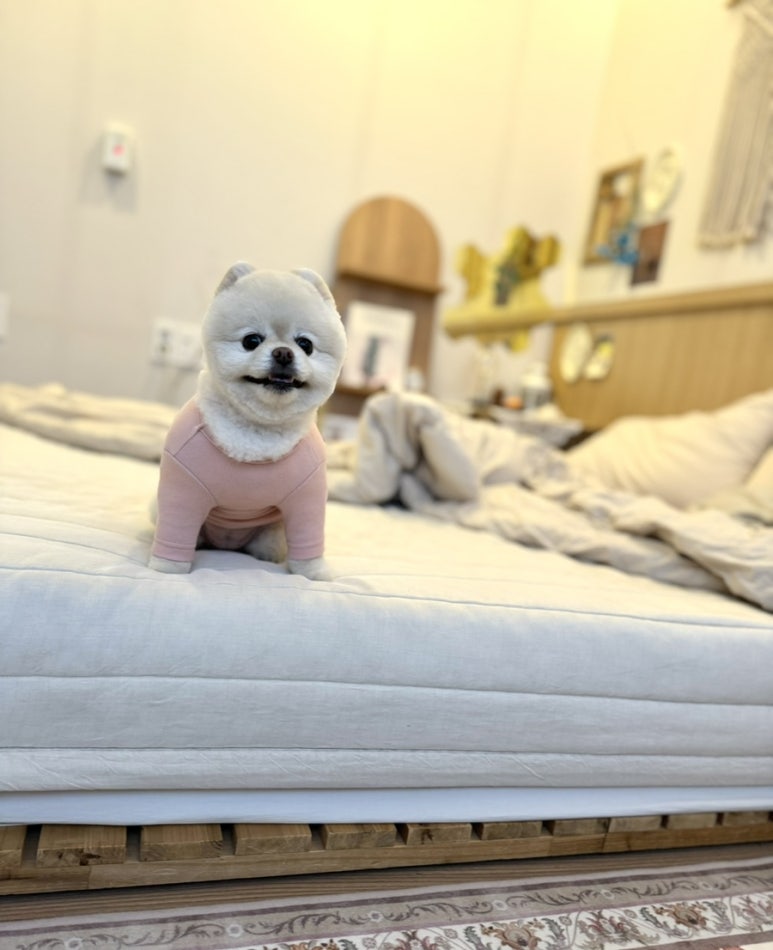 사계2248 이미지