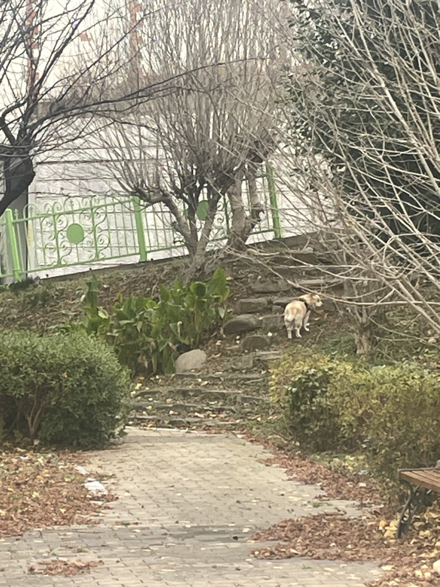 수백당 거제고현점 이미지