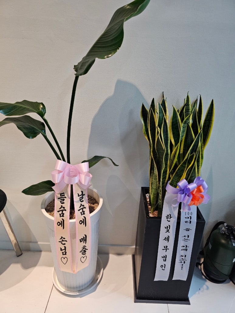 아로담 이미지