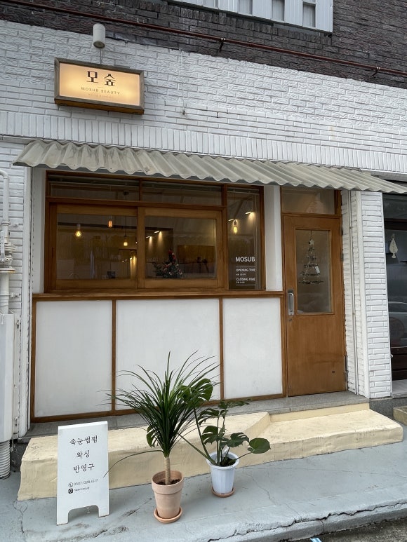 모숲 이미지