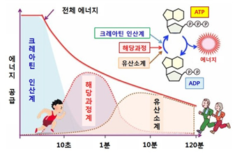 동원에너지 이미지