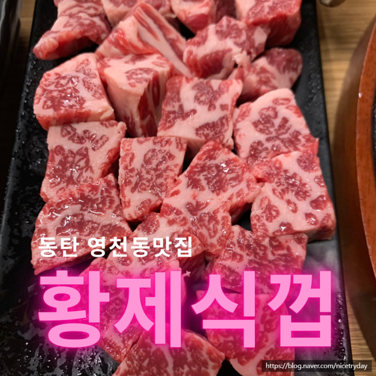 황제식껍 이미지