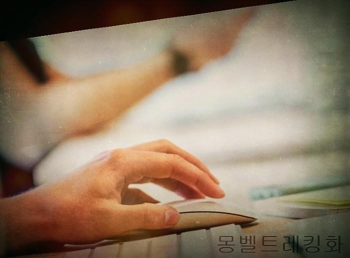 티피알 이미지