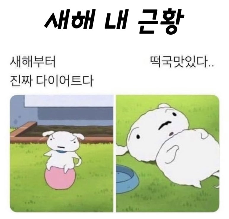 반야드 이미지