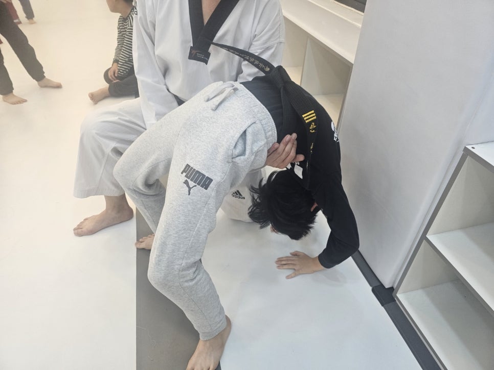 엠티에이태권도 이미지