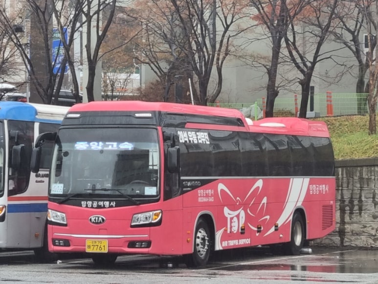 강릉시티투어여행사 이미지