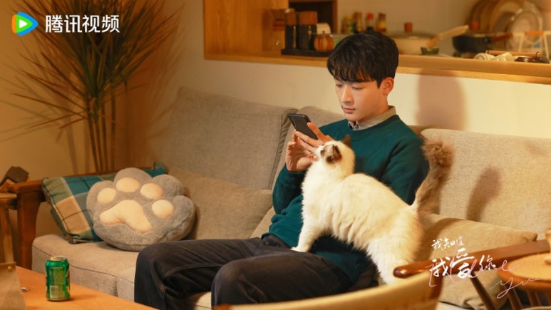 아지도루 이미지