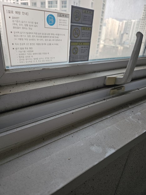 현장 사진